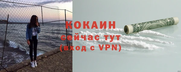 мдпв Кодинск