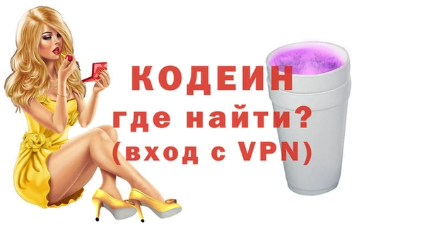 мдпв Кодинск