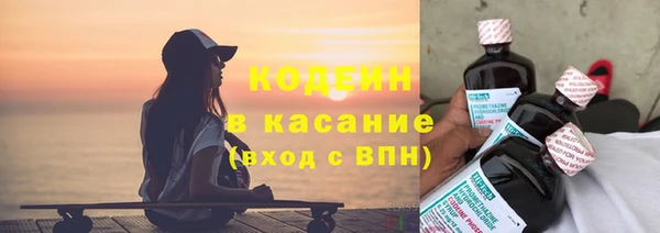мдпв Кодинск