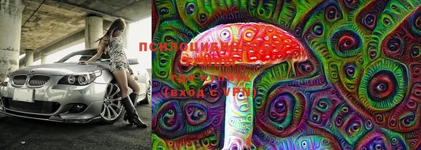 мдпв Кодинск