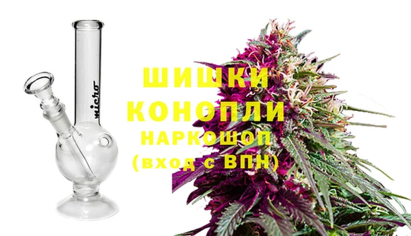 мдпв Кодинск
