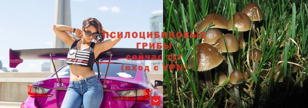 МДМА Козельск